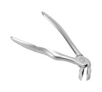 Generic Coupe-Ongles Robuste à Tête Inclinée pour Seniors, Ongles épais, Poignée Confortable, Design Lavable, 1 unité