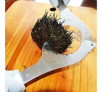 Generic Coupeur et Ouvre-oursin en Acier Inoxydable avec Poignée Ergonomique, Idéal pour les Amateurs de Fruits de Mer, Outil de Cuisine