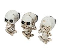 Generic Dénoorisation de Voix, Désodorisant D 'oodure de Voix, Résine Vive en Forme de crfe.