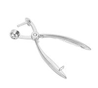 Generic Dénoyauteur de Cerises en Alliage D'aluminium, Outil Manuel Efficace pour Enlever les Cerises et les Olives, Appareils de Cuisine de 7,5 Pouces de Longueur