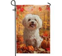 generic Drapeaux maltais mignons d'automne pour jardin, jardin, 30,5 x 45,7 cm, double face pour extérieur, petit chien citrouille d'automne en lin, drapeaux de maison, de feuilles d'érable, de porche