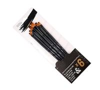 Generic Ensemble de Brosses à Aquarelle, Ensemble de Pinceaux en Acrylique pour Une Poignée en Bois Professionnelle Multifonction Facile Durable pour 6 Morceaux d'artistes (pic Plat)