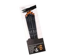 Generic Ensemble de Brosses à Aquarelle, Ensemble de Pinceaux en Acrylique pour Une Poignée en Bois Professionnelle Multifonction Facile Durable pour 6 Morceaux d'artistes (Pic d'inclinaison)