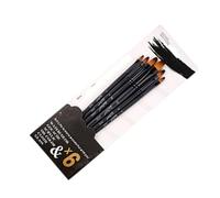 Generic Ensemble de Brosses à Aquarelle, Ensemble de Pinceaux en Acrylique pour Une Poignée en Bois Professionnelle Multifonction Facile Durable pour 6 Morceaux d'artistes (Clou Rond)