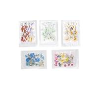 Generic Ensemble de Fleurs Séchées Pressées, 100 Pièces, Artisanat de beauté élégant, étuis de Téléphone pour Scrapbooking, Cadeaux Uniques (Tapez 4)