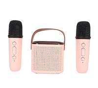Generic Ensemble de Haut-parleurs 2 Microphones, Support Exquis pour Carte Mémoire, Mini Machine de karaoké, Lumière RVB Rechargeable, Portable pour la Fête pour la Télévision (Rose)