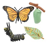 Generic Ensemble de Jouets Interactifs du Cycle de Vie des Insectes, Modèle de Papillon Réaliste pour L'exploration et L'éducation des Enfants, 4 Pièces de Répliques D'insectes d'apprentissage STEM