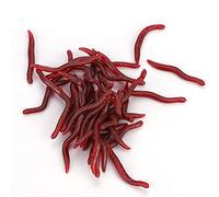 Generic Ensemble de Leurres de Pêche aux vers de Terre Souples pour Bar à Carpe, Appâts Artificiels pour vers de Sang pour la Pêche en Mer, Leurres en Caoutchouc de 4 Cm pour Les Pêcheurs, Paquet de