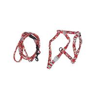 Generic Ensemble de Traction Arrière de Poitrine de Chat en Respirante pour Harnais pour Animaux de Compagnie de Chats Heureux avec Laisse (M)