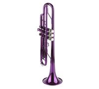 Generic Ensemble de Trompette Bb avec Sac de Rangement, Instrument de Musique en Laiton élégant pour Débutants et Professionnels, Conception Durable, Son de qualité (PURPLE)