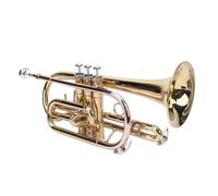 Generic Ensemble de Trompettes Standard Bb en Laiton doré pour Utilisation Orchestrale avec étui Antichoc spécialisé et Accessoires