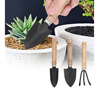 Generic Ensemble D'outils de Jardinage pour Mini Plantes, Râteau Pratique pour Pots de Fleurs, Ensemble de 3 Pièces pour Les Amateurs de Fleurs