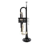 Generic Ensemble Standard de Trompette Bb pour Débutants et Professionnels, Facile à Jouer, Instrument en Laiton Noir Ni, Accessoires Inclus