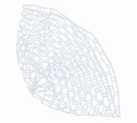 Generic Filet de Pêche de Remplacement en Caoutchouc Transparent, Léger, 100CM/39.37 Pouces, Idéal pour Une Manipulation Sûre du Poisson (Taille Moyenne 100CM)