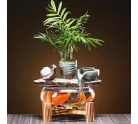 Generic Fontaine à eau japonaise d'intérieur en céramique pour décoration de la maison, aquarium en verre, accessoires de méditation, cadeau de pendaison de crémaillère (escargot)