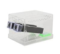 Generic Gardien de Grillon d'alimentation en Acrylique avec Tubes pour Kit de Soin des Insectes, Boîte de Réservoir Transparente pour L'observation de la Reproduction des Insectes (L)