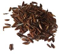 Generic Graines de Lilas, 25pcs / Sac Graines de Lilas Fleur Pourpre à Haut rendement Facile à cultiver Semis de Lilas naturels pour bonsaï Graines de Syringa vulgaris