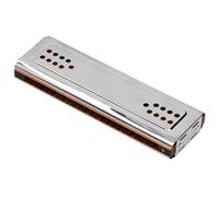 Generic Harmonica 24 Trous, clé C-G Double Face avec Gongs en Bronze Phosphoreux, Instrument de Musique avec Son Mélodique, Argent pour Joueurs Professionnels