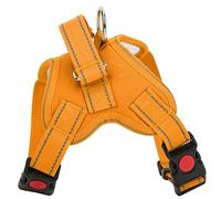 Generic Harnais de Chien, Harnais de Chiots et Laisse Entraînement de la Chatte Chat de Marche pour Animaux de Compagnie avec Une Poignée de Contrôle Facile (S Convient pour la circonférence de la