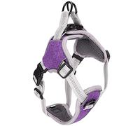 Generic Harnais de Chien Réfléchissant, Harnais pour Animaux de Compagnie Réglable à Respiration (XL)