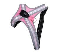Generic Harnais Lumineux pour Chien, Rechargeable par USB, Réglable, Léger, pour Chien de Compagnie, Anneau de Laisse intégré pour Un Contrôle Facile Pendant Les Promenades (Rose)
