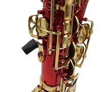 Generic Kit de Nettoyage de Flûte avec Brosse à Embout, Kit D'entretien pour Saxophone pour Musiciens en Déplacement, Comprenant un Chiffon de Nettoyage, un Mini Tournevis, Idéal pour une