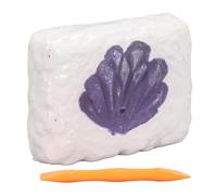 Generic Kit D'excavation de Pierre, Jouets éducatifs de Collection de Roches pour Enfants, Kit de Creuser de Pierre pour Les Dates de Jeu/fêtes, Ciseau à Plâtre 18 Pièces (Type 1 pour Les Plus de 6