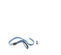 Generic Laisse Lumineuse pour Chien de 1,2 M, Rechargeable par USB, Qui Brille dans la Nuit, Idéale pour Améliorer la visibilité Nocturne Lors des Promenades Nocturnes, Matériau en Nylon (Blue)