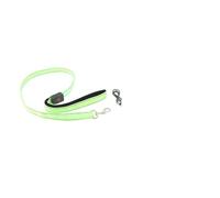 Generic Laisse Lumineuse pour Chien de 1,2 M, Rechargeable par USB, Qui Brille dans la Nuit, Idéale pour Améliorer la visibilité Nocturne Lors des Promenades Nocturnes, Matériau en Nylon (Green)