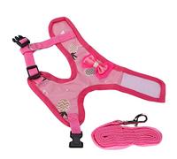 Generic Ligue DE Poulet, Harnais d'entraînement en Mailles Respirantes et MâLE DE Canard Leas Harnais DE Poulet Strape RÉGLABLE DE TRACULATION en OUTROOR Corde pour Colle pour Le pour Le PENDE pour