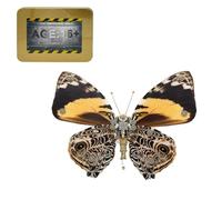 generic Lot de 150 puzzles en métal Steampunk 3D en forme de papillon - Puzzle mécanique 3D à monter soi-même - Modèles en métal 3D pour adultes