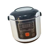 Generic Mini Cuiseur à Riz électrique Portable 2L, Petit Cuiseur à Riz, Fonction de Maintien au Chaud pour 2 à 4 Personnes, Cuisine de Camping en Métal (24V)