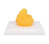 Generic Modèle Anatomique de Graisse Humaine Authentique, Outil éducatif pour les Amateurs de Fitness, Matière Plastique