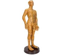 Generic Modèle D'acupuncture du Corps Humain pour L'enseignement et le Massage, Lettrage Clair, Matériau PVC, Disponible en Modèles Masculins et Féminins, 50 Cm/19,7 Pouces, 53 Cm/20,9 Pouces (homme)
