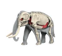Generic Modèle de Corps D'animal à Visée éducative, Puzzle Réaliste sur La Biologie Animale, Jouet Pédagogique pour L'apprentissage Des Organes, 3109