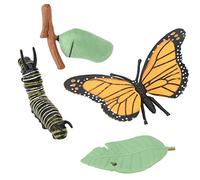 Generic Modèle de Cycle de Croissance des Papillons, Jouet éducatif pour Enfants, Ensemble de Jouets de Simulation D'insectes pour Salles de Classe Scientifiques, 4 Modèles D'insectes pour