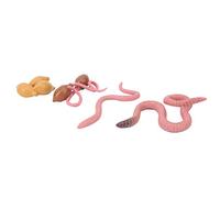 Generic Modèle de Cycle de Croissance du Ver de Terre, Jouet éducatif pour Enfants, Aide à L'apprentissage du Cycle de Vie en 4 étapes, Figurines en Plastique Détaillées, Non Toxiques et Sûres, 4