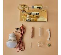 Generic Modèle de Générateur d'électricité D'ampoule de LED de Moteur de Stirling pour L'expérience Scientifique Base D'alliage D'aluminium D'école d'enfants (Gold)