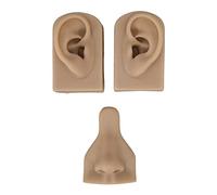 Generic Modèle de Pratique de Perçage en Silicone Flexible pour un Enseignement à Affichage Vif, adapté aux Cours de Médecine - Modèles de Nez et D'oreilles en Silicone Souple (Peau foncée)