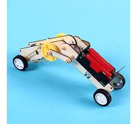 Generic Modèle de Robot Rampant de Ver à Monter Soi-même, Ensemble de Jouets éducatifs pour L'apprentissage Pratique, à Partir de 7 Ans, Construction en Bois avec Fonctionnalités Créatives (Robot
