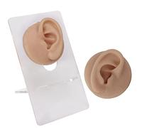 Generic Modèle D'oreille Humaine en Silicone Souple Haute Simulation pour la Pratique du Perçage, Améliore les Compétences de Perçage pour L'enseignement du des Oreilles, Support en Acrylique, (Peau