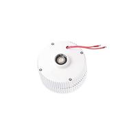 Generic NE-400 Générateur à Aimant Permanent 400 W 24 V, Alternateur Synchrone triphasé à Faible Régime 950 Tr/min, avec Stabilisateur de Tension intégré pour Usage Industriel (Moteur + redresseur)