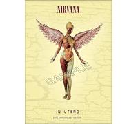 Generic Nirvana Poster vintage groupe de rock Grunge Punk Rock Art mural A4
