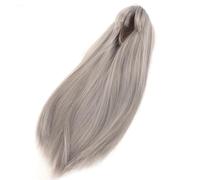 Generic Perruque Longue et Lisse pour Poupée, Cheveux Synthétiques Doux et Réalistes, Tour de Tête de 18.5 à 21cm (GRAY)