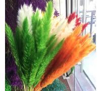 Generic Petites Phragmites d'herbe de Pampa Séchées, Décoration Naturelle, Accessoires de Photographie pour la Maison, Fleurs de Roseau Orange Faites à la Main pour Magasin de Fleurs (#8)