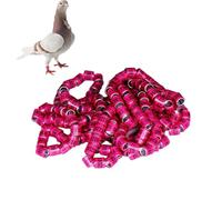 Generic Pigeon Supplies Lot de 50 anneaux d'identification pour pigeons - Accessoires sûrs pour perroquets de course, poussins, canards