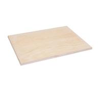 Generic Porte Bloc A3 en Plastique Surface Lisse et Pratique, Planche à Dessin pour Art, pour Garçon et Filles et Étudiants