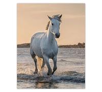Generic - Poster - Décoration murale Chevaux sauvages n° H8236Y_PL1Q 40 x 50 cm
