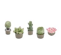 Generic Pots de Plantes Succulentes Miniatures pour Maison de Poupée, Décoration Mignonne et Vive pour Créer de L'imagination dans Les Chambres d'enfants, 5 Pièces