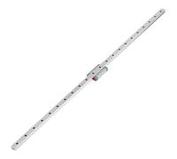 Generic Rail Coulissant Linéaire Miniature Compact, Bloc de Guidage Solide et Durable pour équipement de Précision 250mm 300mm 400mm 500mm 550mm (550mm)